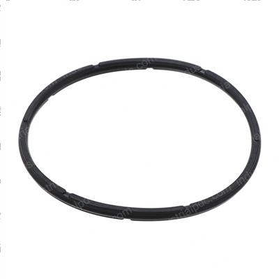 Picture of Seal