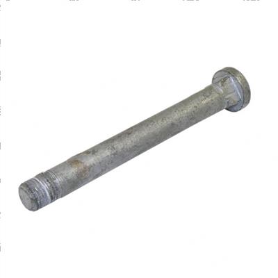 Picture of Bolt
