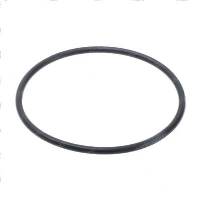 Picture of O-Ring