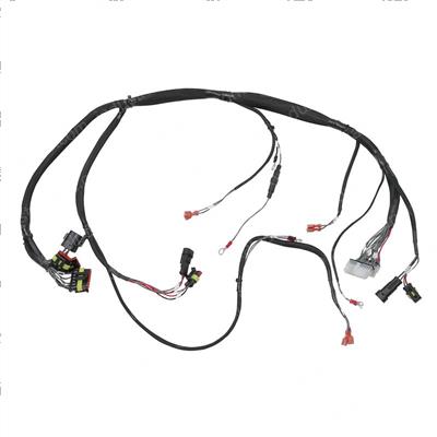 Picture of Wiring Harness