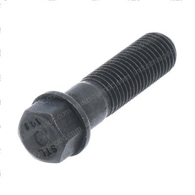 Picture of Bolt