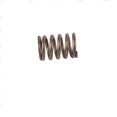 Picture of Spring - Valve