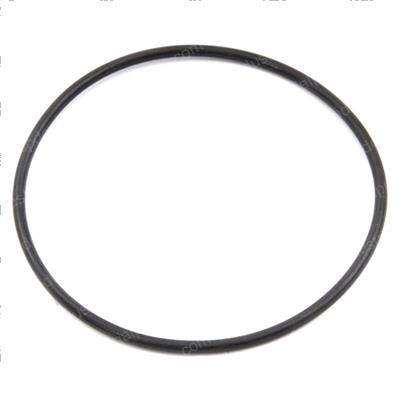 Picture of O-Ring