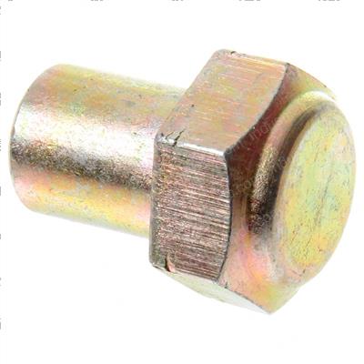 Picture of Nut Cap