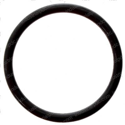 Picture of O-Ring