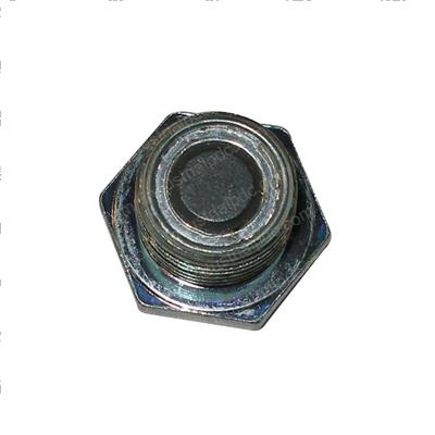 Picture of Plug Sub-Ass.w/Head Strgt