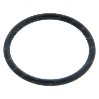 Picture of O-Ring