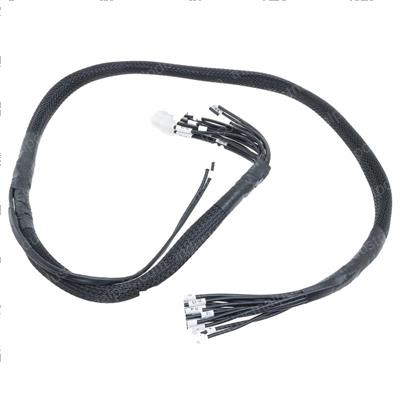 Picture of Wiring Harness