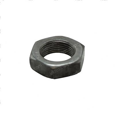 Picture of Nut - Hex Rh