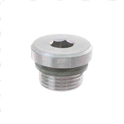 Picture of Screw - Plug