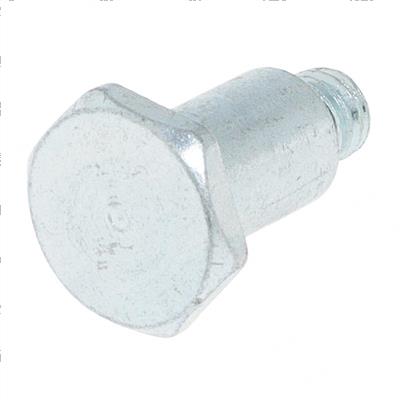 Picture of Bolt