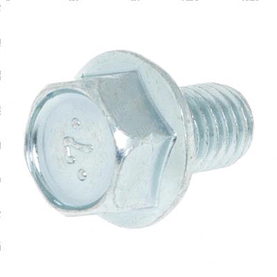 Picture of Bolt