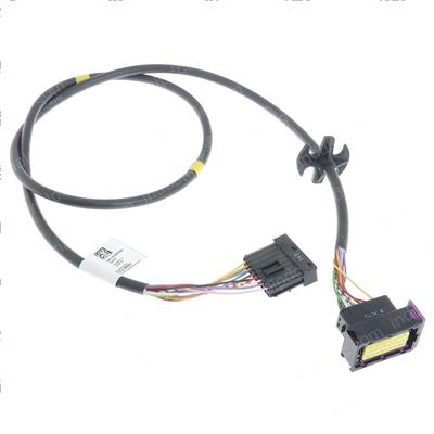 Picture of Wiring Harness