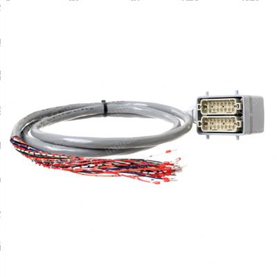 Picture of Cable Assembly