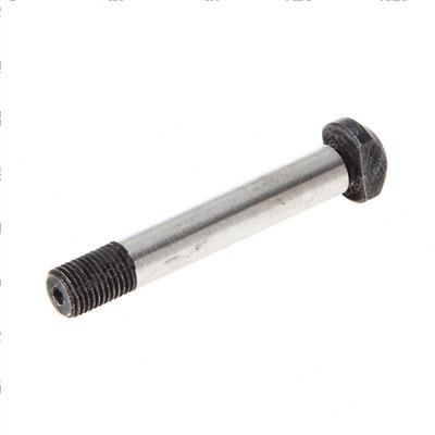 Picture of Bolt