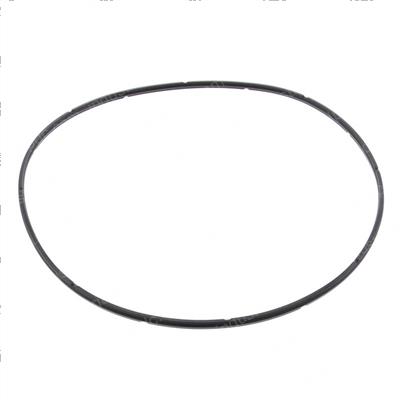 Picture of Seal