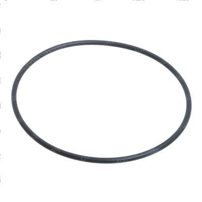 Picture of O-Ring