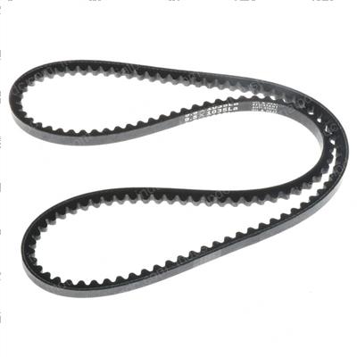 Picture of Belt