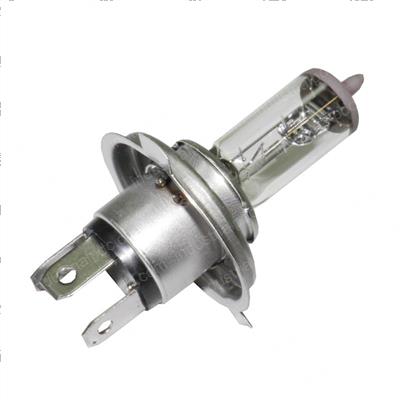 Picture of Bulb