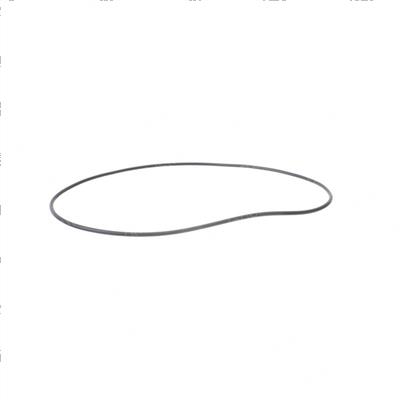 Picture of O-Ring