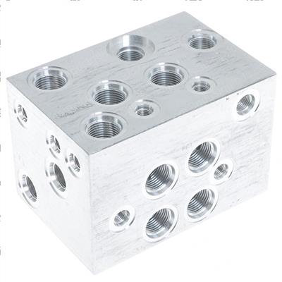 Picture of Block Manifold