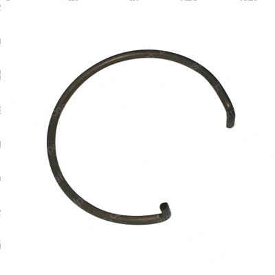 Picture of Spring Torsion