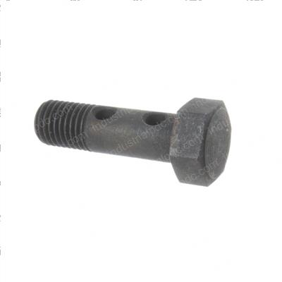 Picture of Bolt