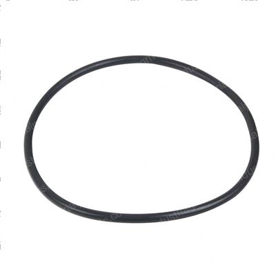 Picture of O-Ring