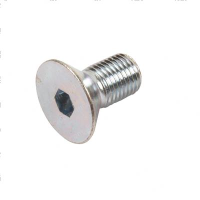 Picture of Capscrew