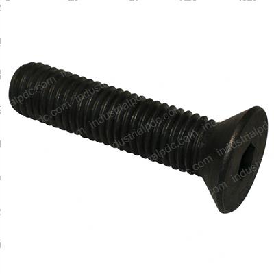 Picture of Bolt