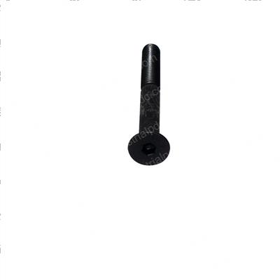 Picture of Capscrew