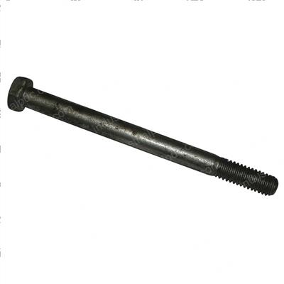Picture of Bolt