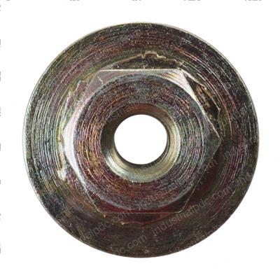 Picture of Nut