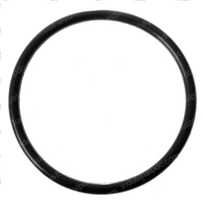 Picture of O-Ring