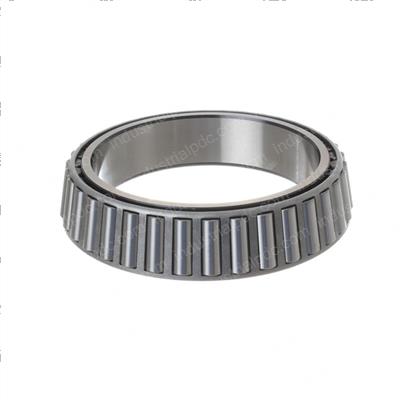 Picture of Cone-Bearing