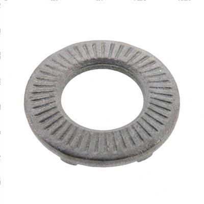 Picture of Lock Washer Dd 08x18