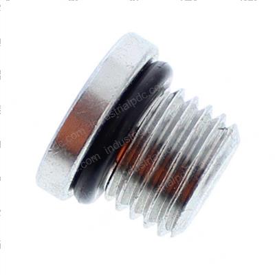 Picture of Plug - Int Hex With O-Ring