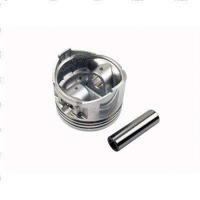Picture of Piston - .75mm