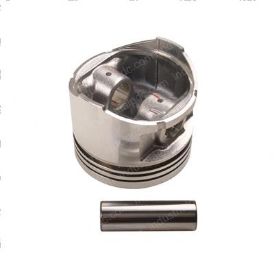 Picture of Piston - 1.00mm
