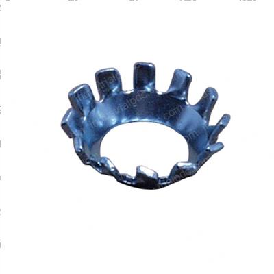 Picture of Washer - Lock