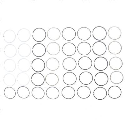 Picture of Ring Set - Standard