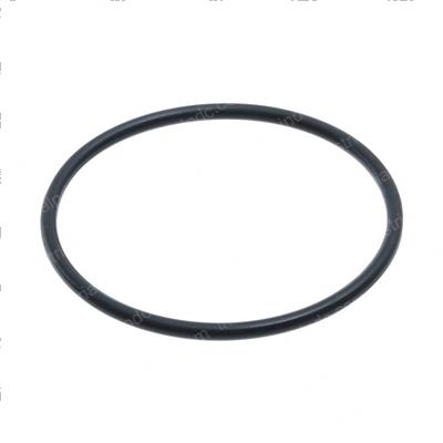 Picture of O-Ring