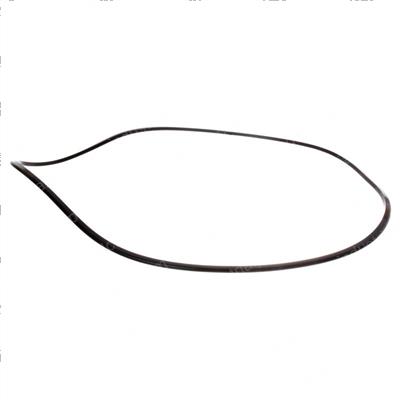 Picture of Seal - Inner