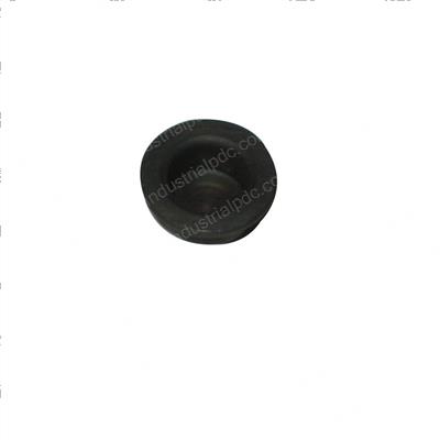 Picture of Plunger