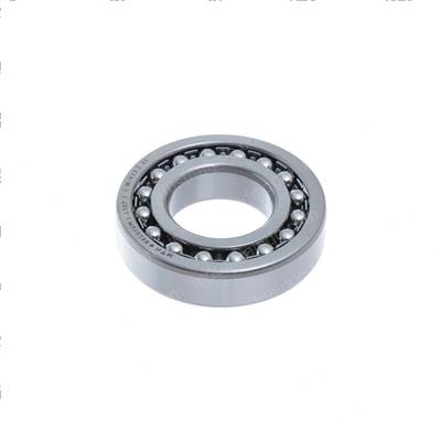 Picture of Bearing