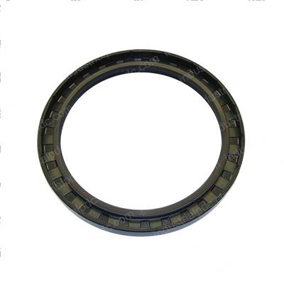 Picture of Sealing Ring