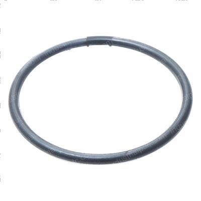 Picture of O-Ring