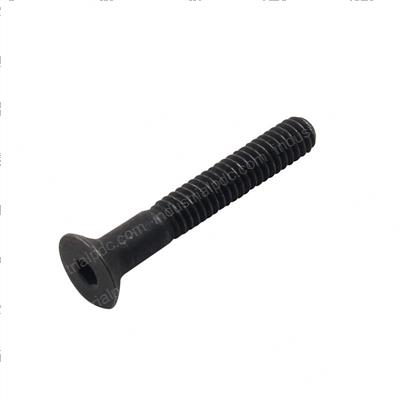 Picture of Screw - 1/4 X 1.75