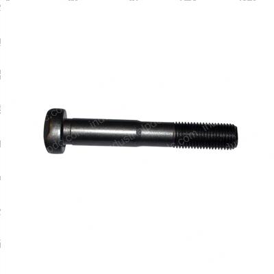 Picture of Bolt