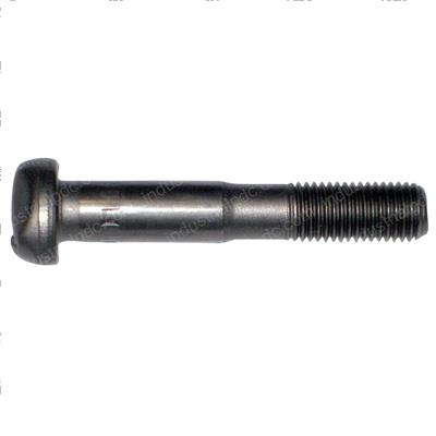 Picture of Bolt